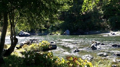 Luxury Cottage with Furnished Deck in Trinity, California - Big Flat, California - glamping.directory