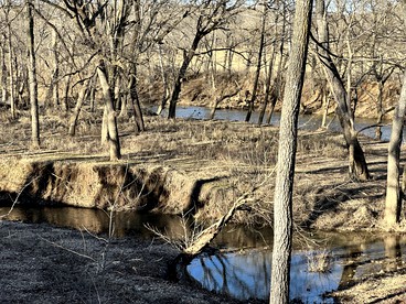 Riverfront Cozy Dome with Patio and Fire Pit in Missouri - Clever, Missouri - glamping.directory