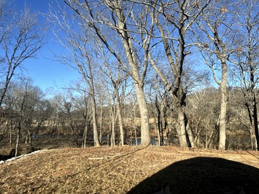 Riverfront Cozy Dome with Patio and Fire Pit in Missouri - Clever, Missouri - glamping.directory