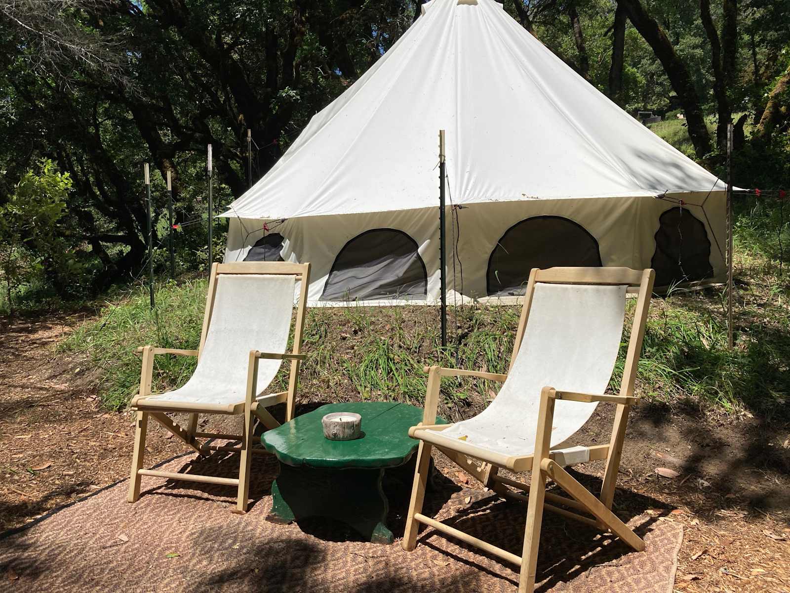 Humboldt Redwoods- Into the Woods - glamping.directory
