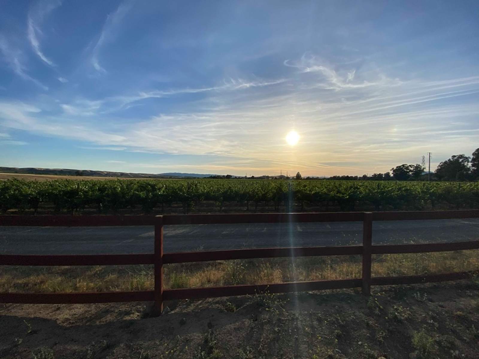 Winery Camping - Livermore, California - glamping.directory