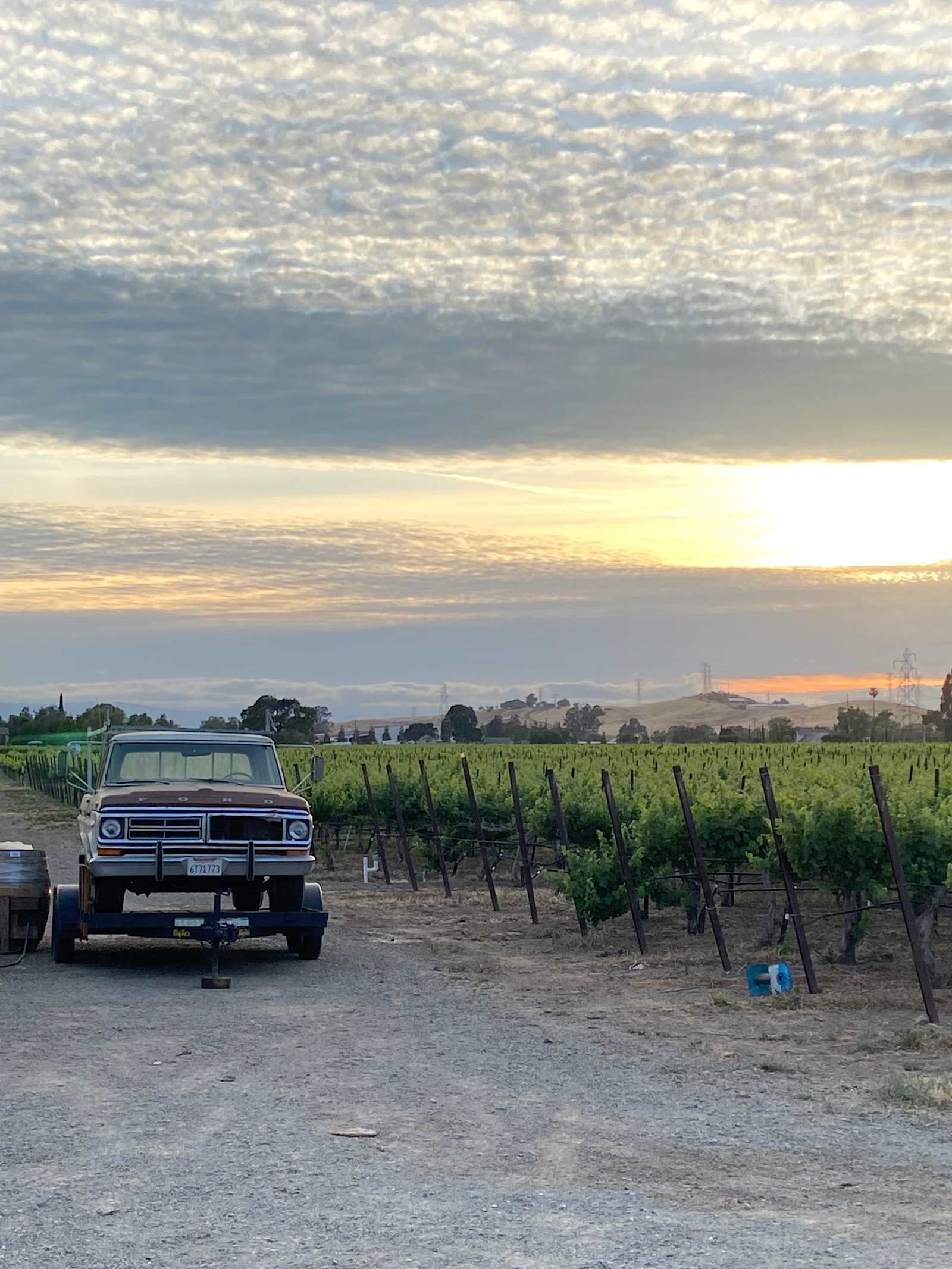 Winery Camping - Livermore, California - glamping.directory