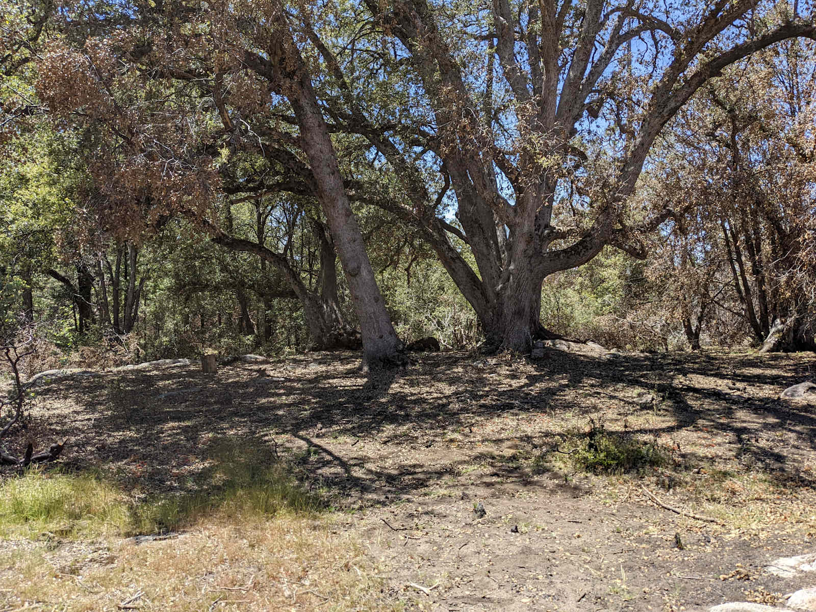 Coe's Cozy Country Corner - Auberry, California - glamping.directory
