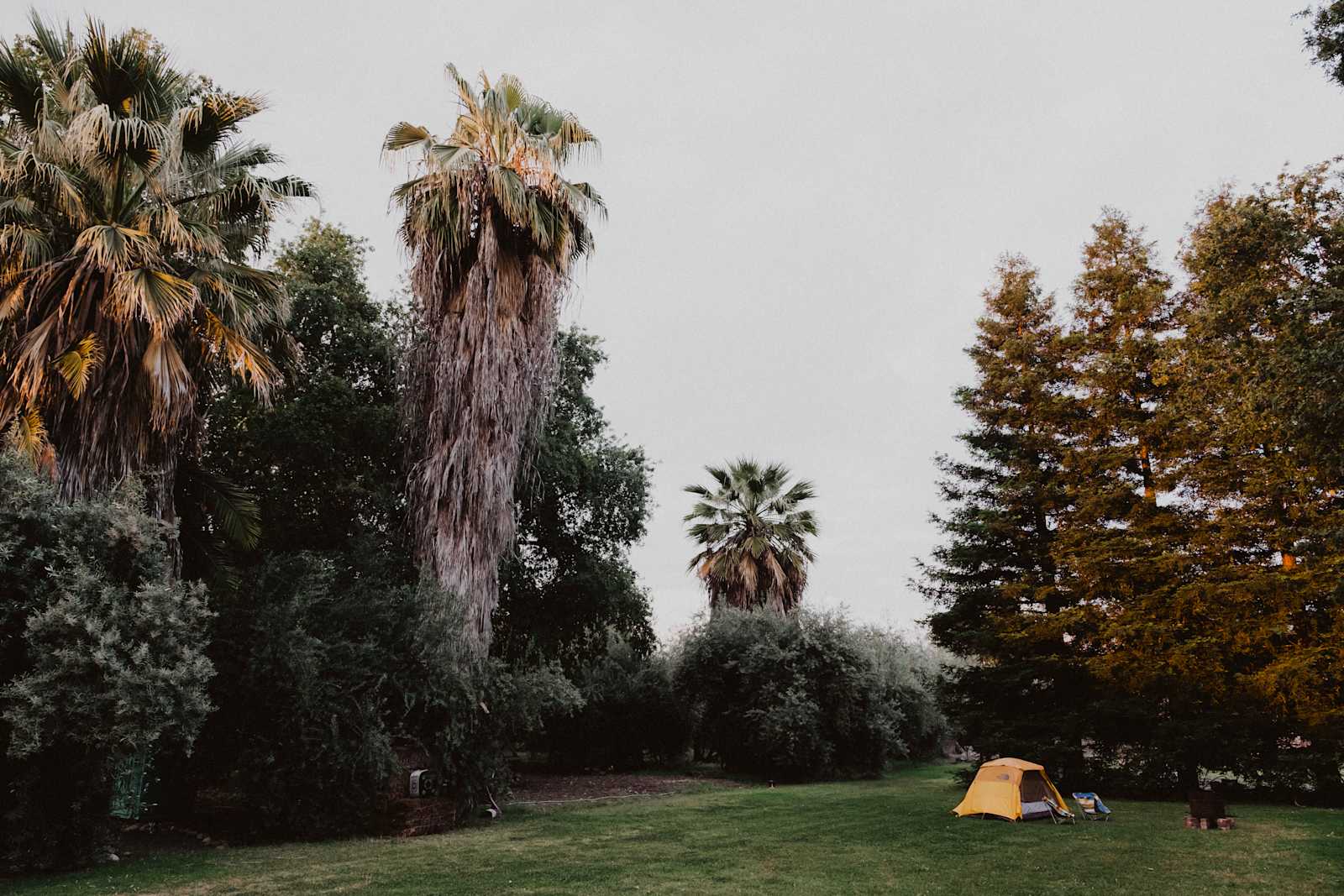 Blue Moon Orchard Retreat - glamping.directory