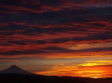 Classy Pet-Friendly Nature Lodge With a Hot Tub in Lyle, Washington - Lyle, Washington - glamping.directory
