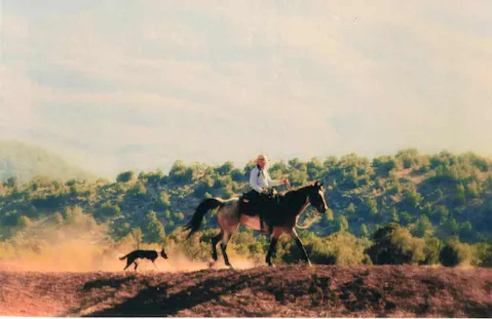 LV Bar- Finicum Ranch - Colorado City, Arizona - glamping.directory