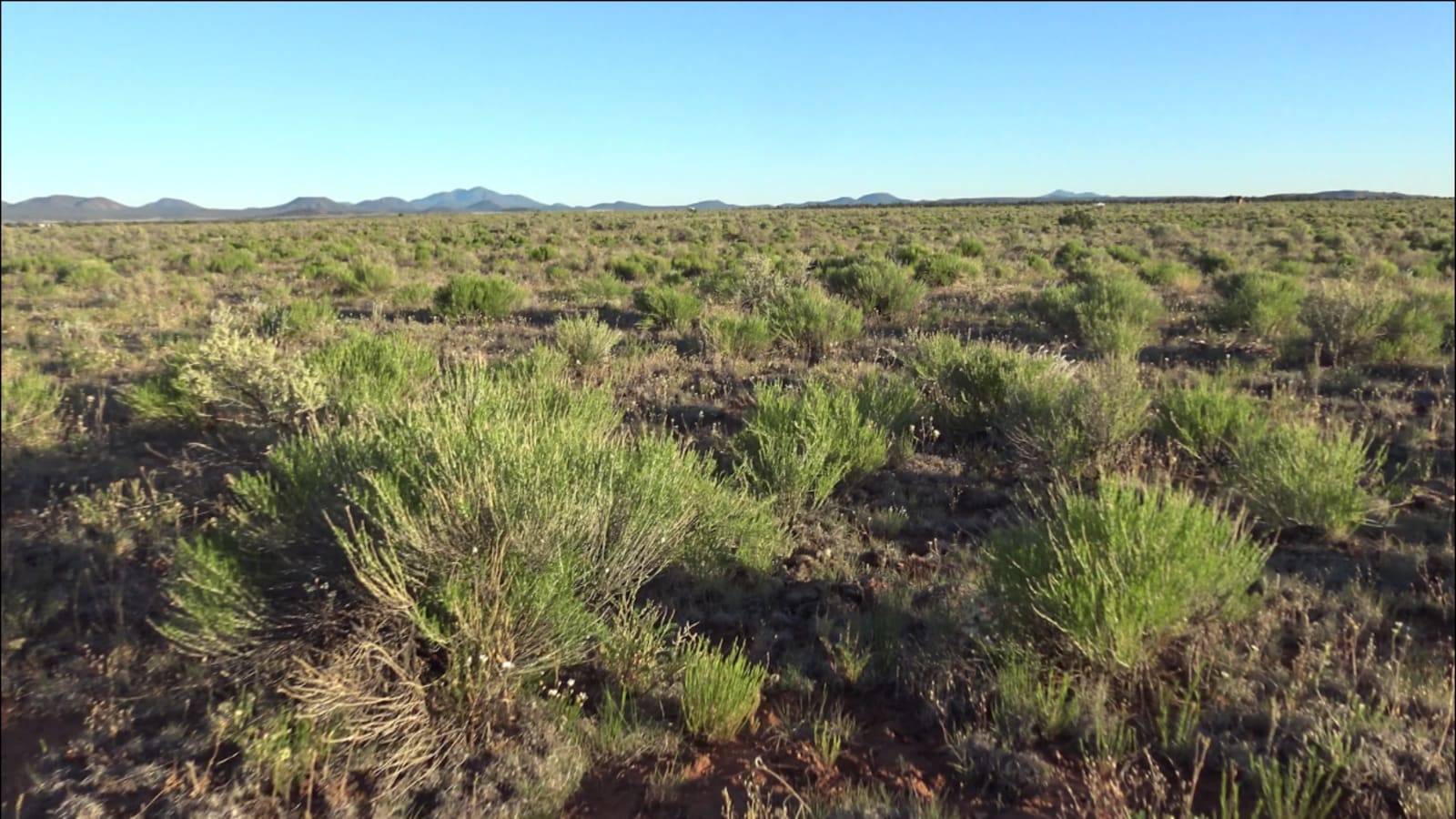 Farrington Ranch - Williams, Arizona - glamping.directory