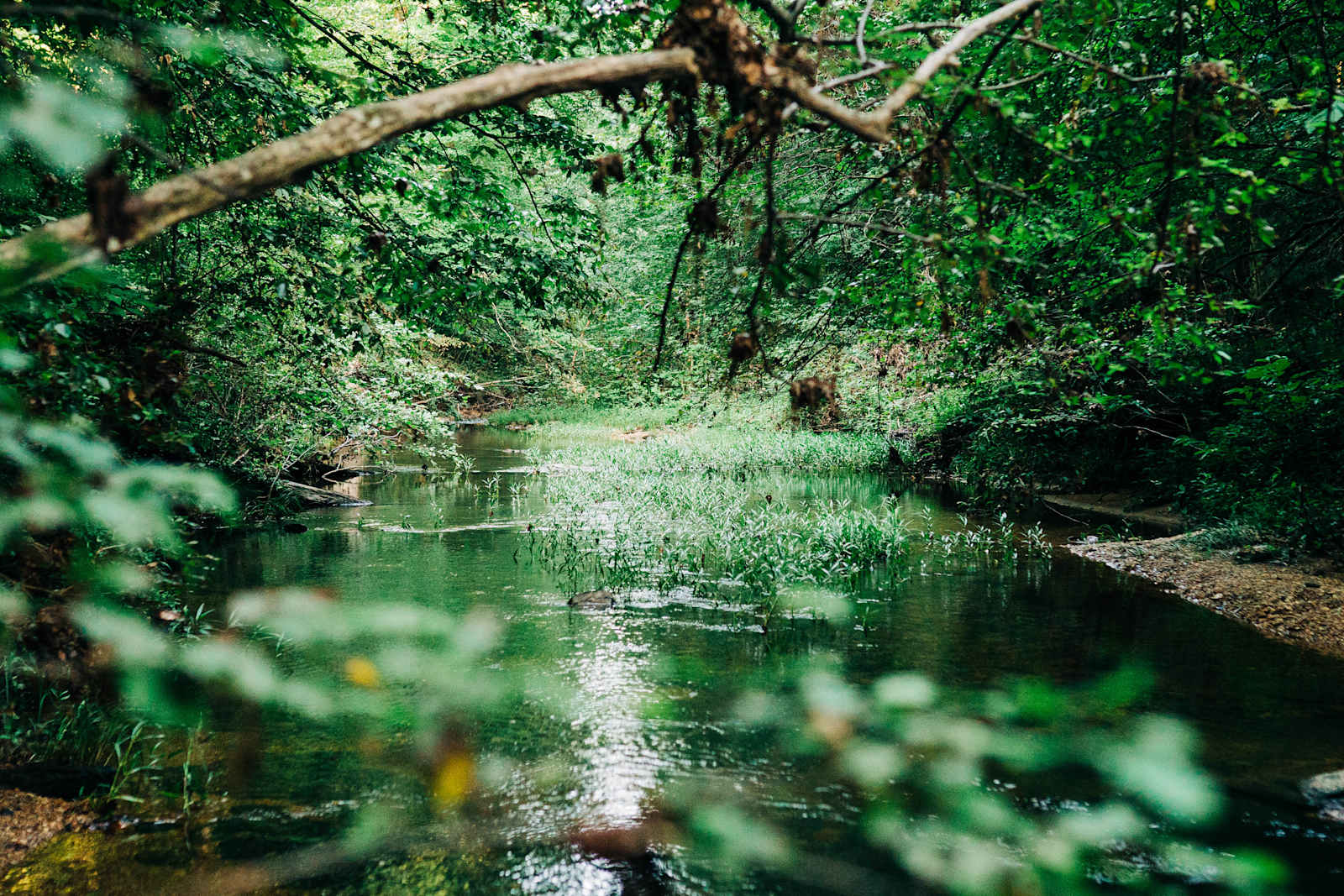 Parksland Retreat - Talladega, Alabama - glamping.directory