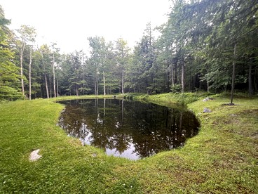 Fantastic Lakefront Wooden Cabin Settled Between Trees in Stratton, Vermont - Stratton, Vermont - glamping.directory