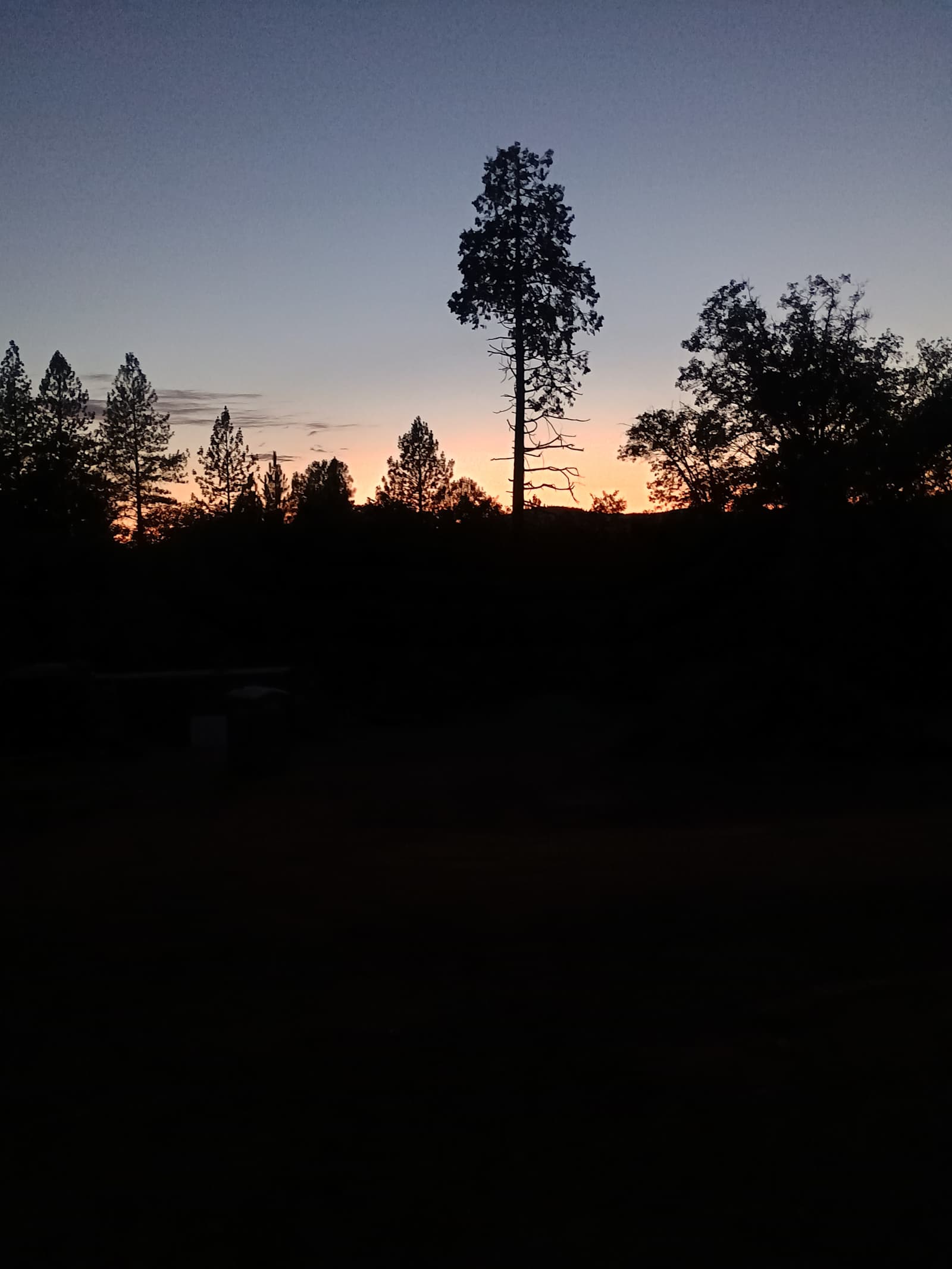 Green Mountain - Dobbins, California - glamping.directory