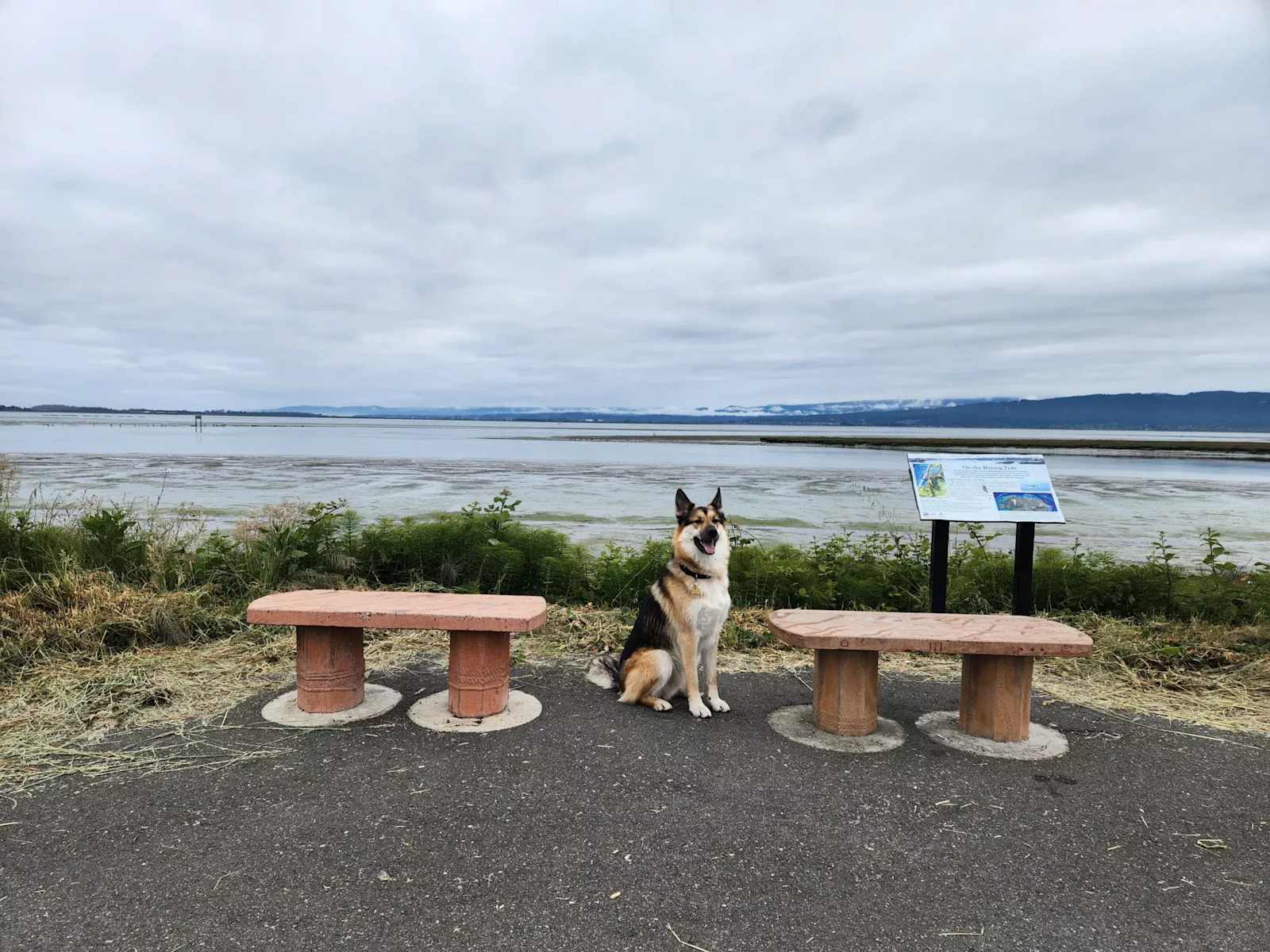 Coastal Pines RV Park - Eureka, California - glamping.directory