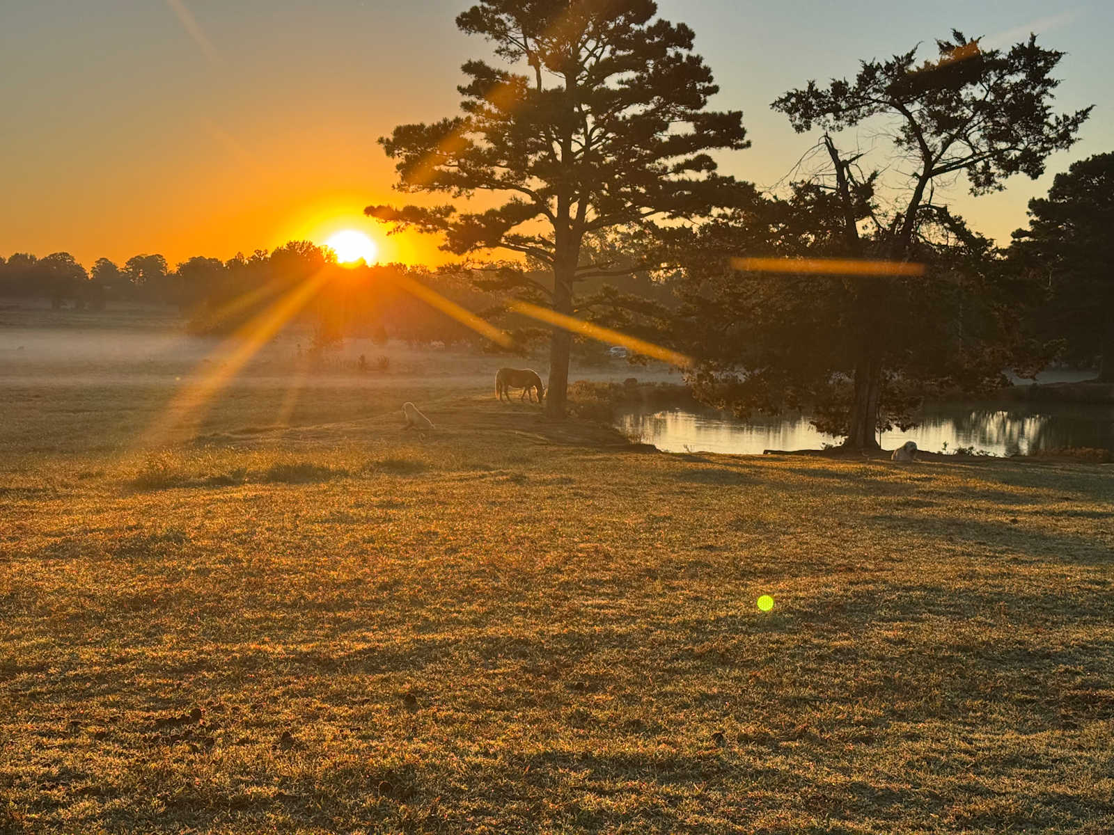 The Meadows at Cabin Creek - glamping.directory