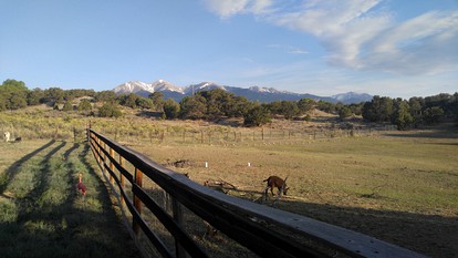 Vintage Trailer Vacation Rental with Mid-Century Decor near Salida, Colorado - Salida, Colorado - glamping.directory
