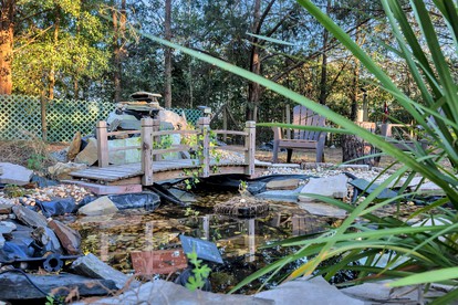 Secluded Glamping Site in Eustis, Florida, with Hot Tub, Fire-Pit and Forest Views - Eustis, Florida - glamping.directory