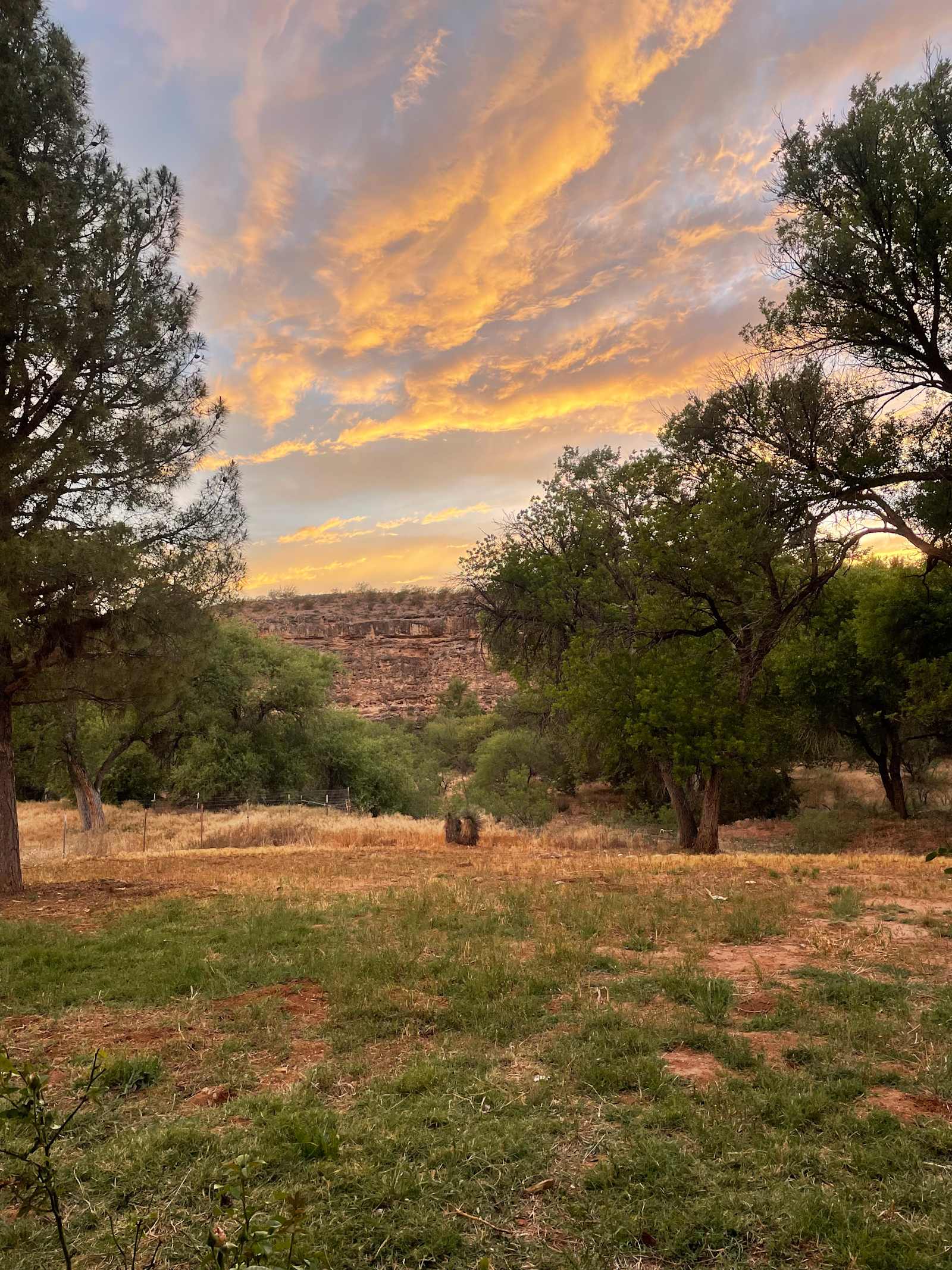 Epic 5.5 - glamping.directory