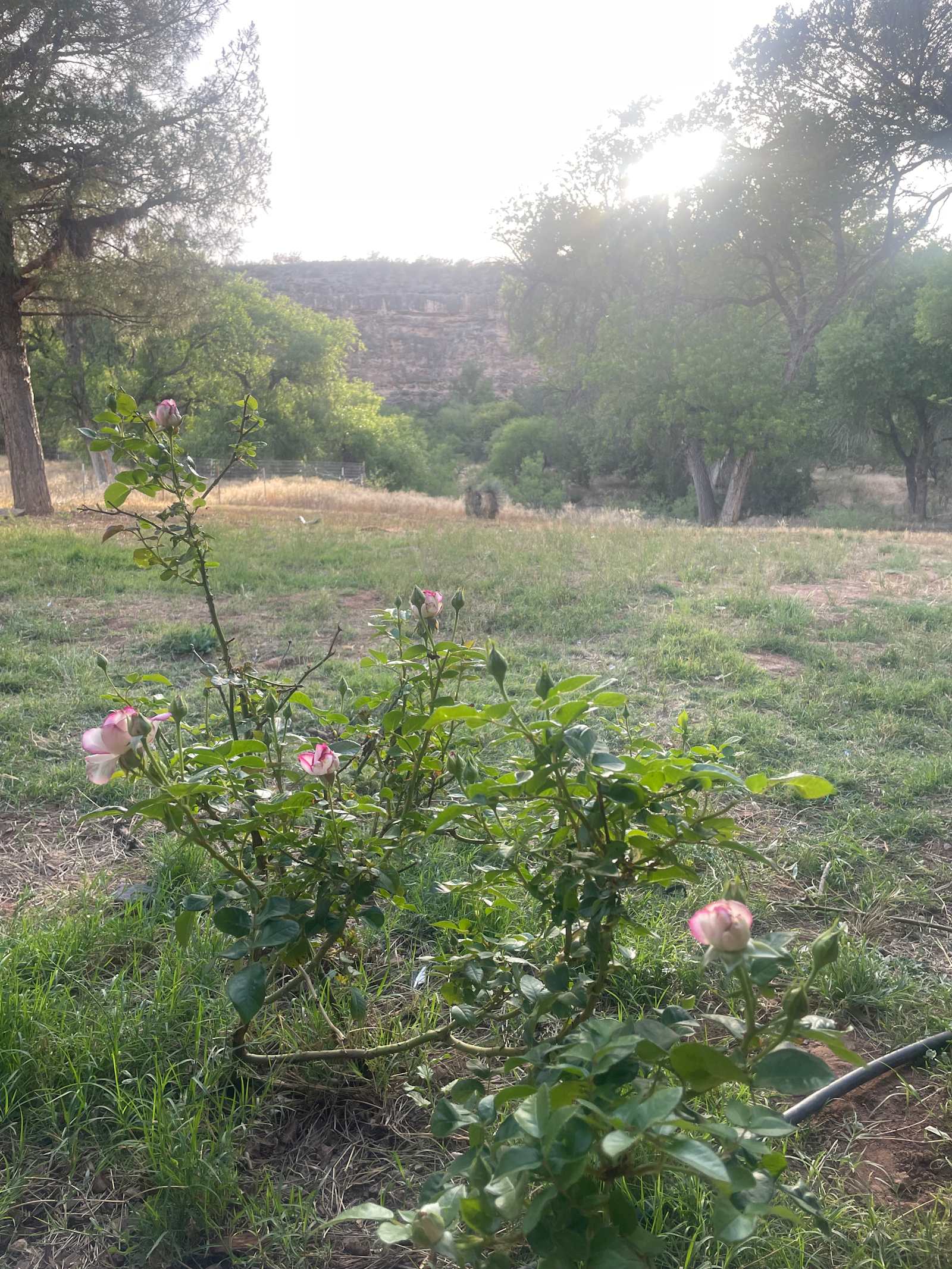 Epic 5.5 - Rimrock, Arizona - glamping.directory