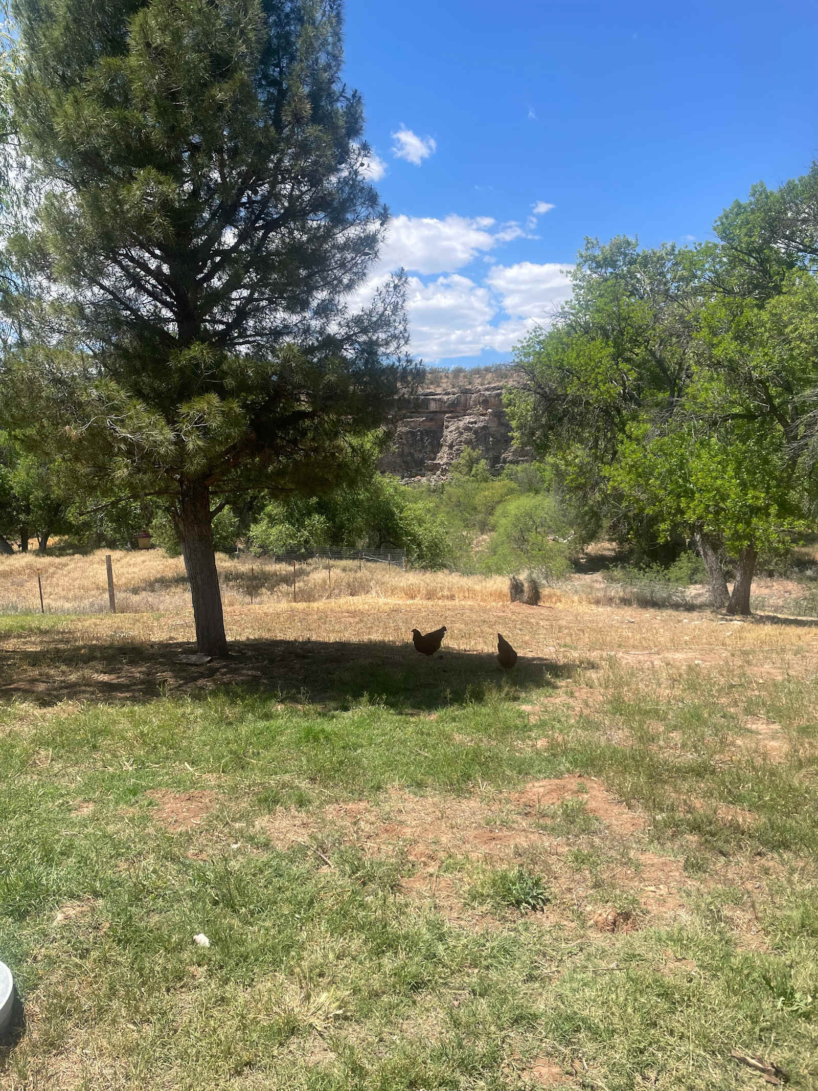 Epic 5.5 - Rimrock, Arizona - glamping.directory