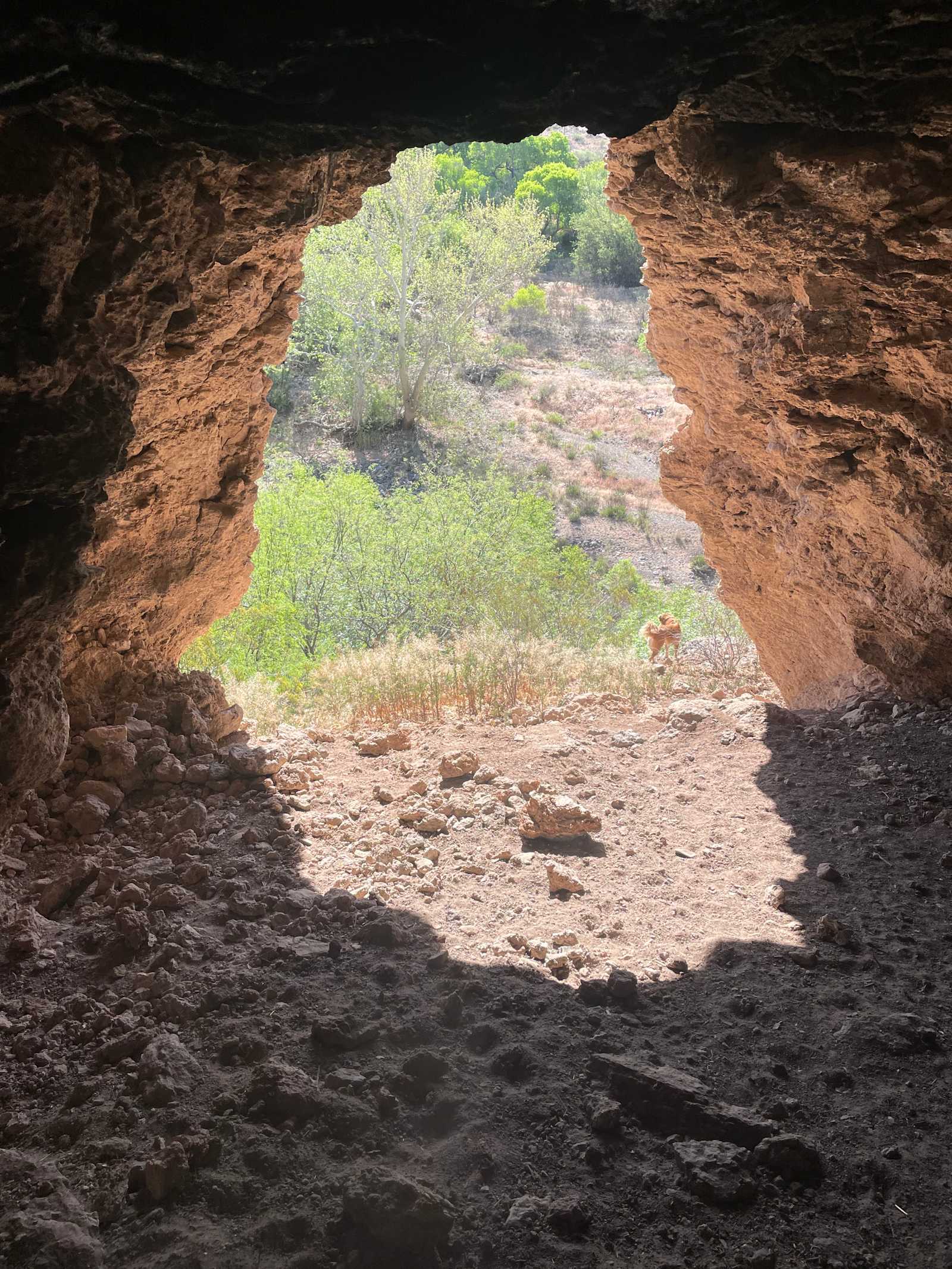 Epic 5.5 - Rimrock, Arizona - glamping.directory