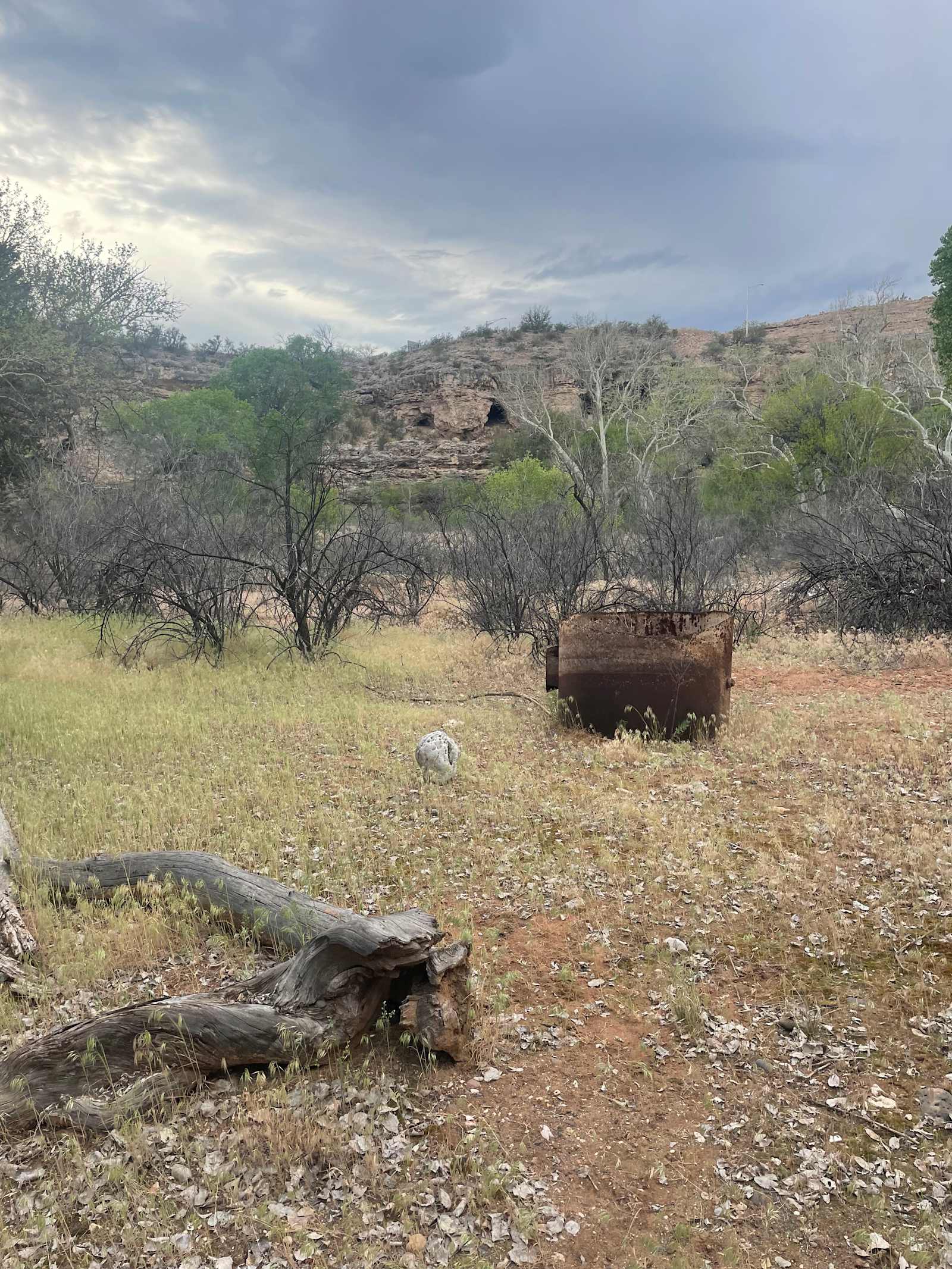 Epic 5.5 - Rimrock, Arizona - glamping.directory