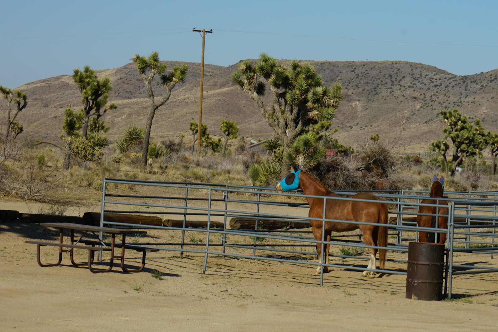 Pioneertown Corrals Camping - Pioneertown, California - glamping.directory