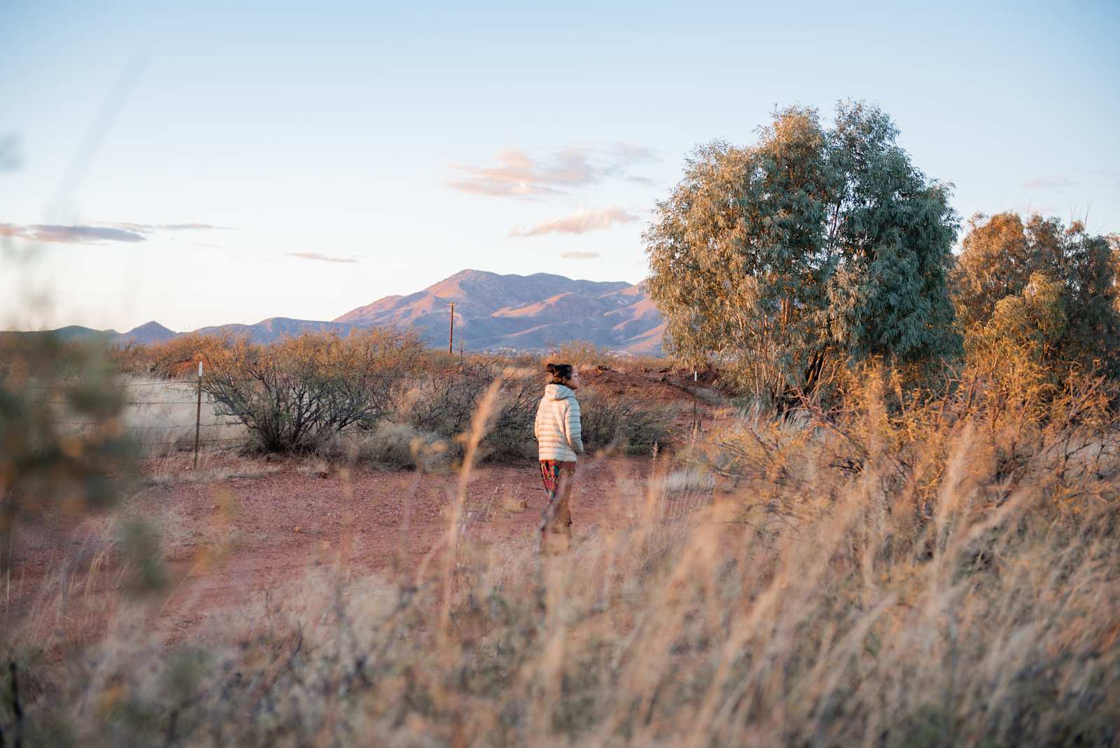 Camp Etowa - Bisbee, Arizona - glamping.directory