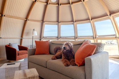 Spacious Unique Pod Perfect for a Secluded Escape in Texas - Fredericksburg, Texas - glamping.directory