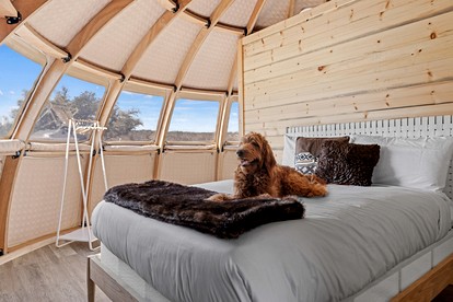 Spacious Unique Pod Perfect for a Secluded Escape in Texas - Fredericksburg, Texas - glamping.directory