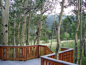 Forested Log Cabin Rental in Mountain Town for Weekend Trip from Denver - Allenspark, Colorado - glamping.directory