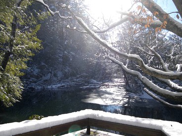 Superb Mountain Getaway near Cherokee National Forest in Reliance, Tennessee - Reliance, Tennessee - glamping.directory