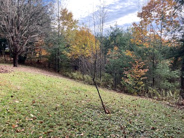 Cabin Rental for Four in Stephentown, New York, for Weekend Getaways to Nature - Stephentown, New York - glamping.directory