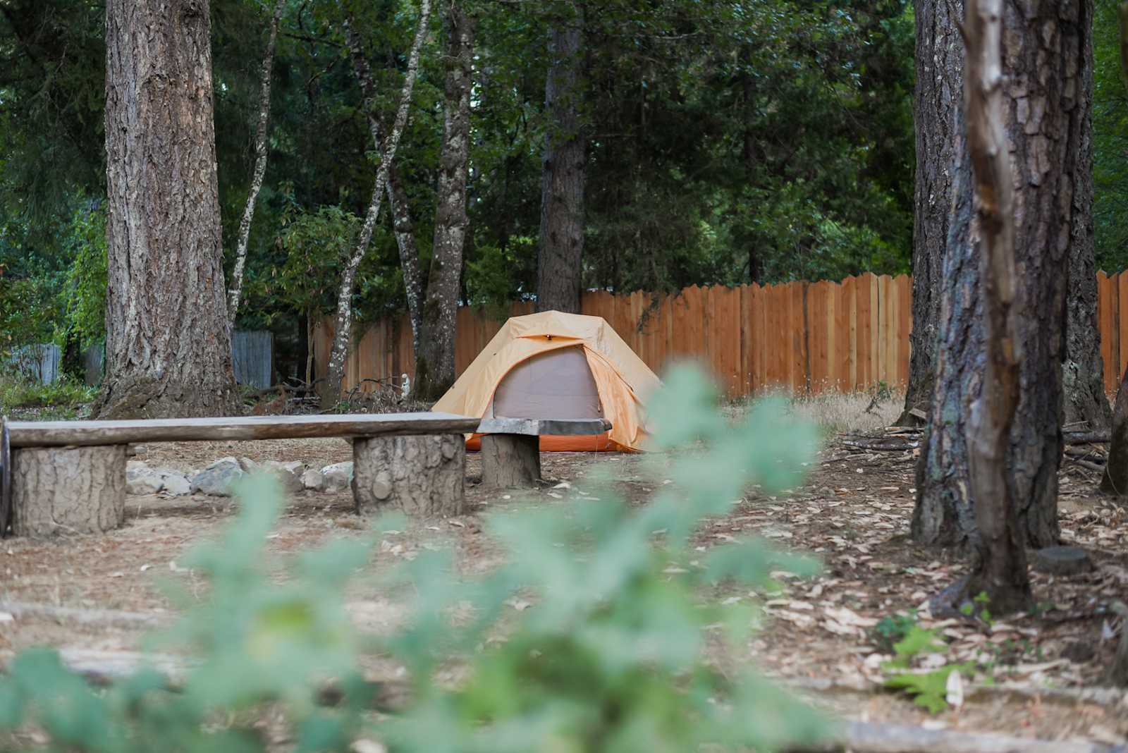 Lucky Penny Laytonville - Laytonville, California - glamping.directory
