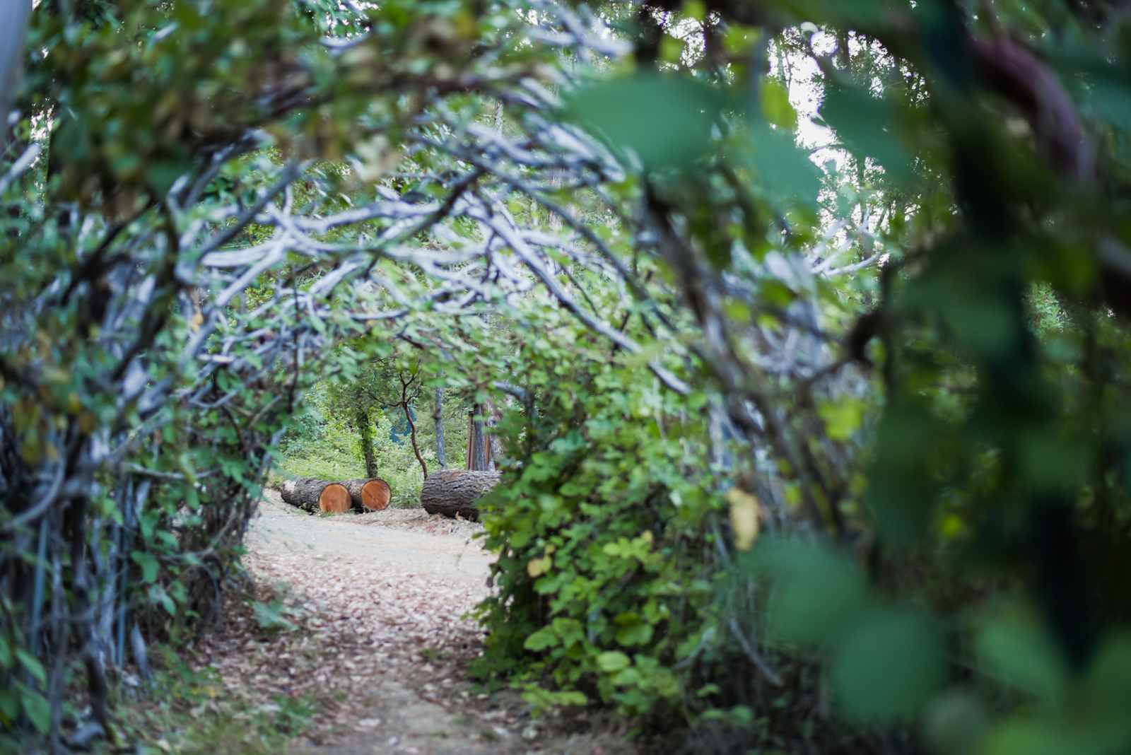 Lucky Penny Laytonville - Laytonville, California - glamping.directory
