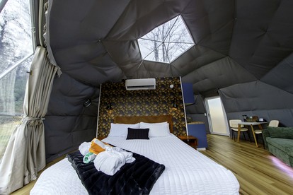 Luxury Wellness Dome with Private Sauna, Hot Tub & Cold Plunge Near Pisgah National Forest | Balsam Grove, North Carolina - Balsam Grove, North Carolina - glamping.directory