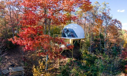 Luxury Wellness Dome with Private Sauna, Hot Tub & Cold Plunge Near Pisgah National Forest | Balsam Grove, North Carolina - Balsam Grove, North Carolina - glamping.directory
