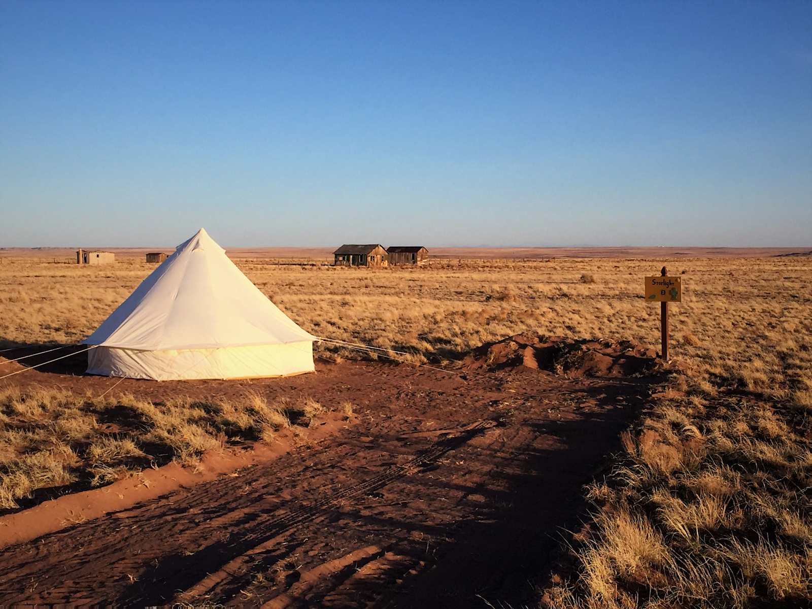 Petrified Forest - Holbrook, Arizona - glamping.directory