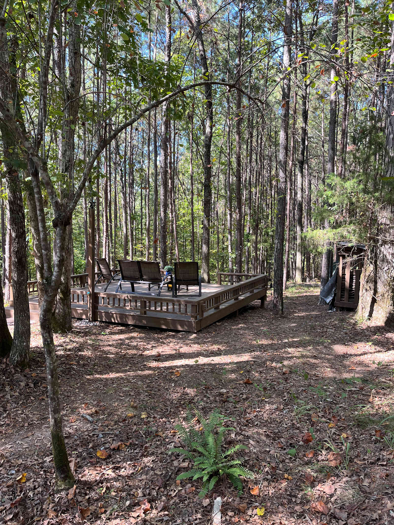 Sarana (peaceful refuge) - Houston, Alabama - glamping.directory