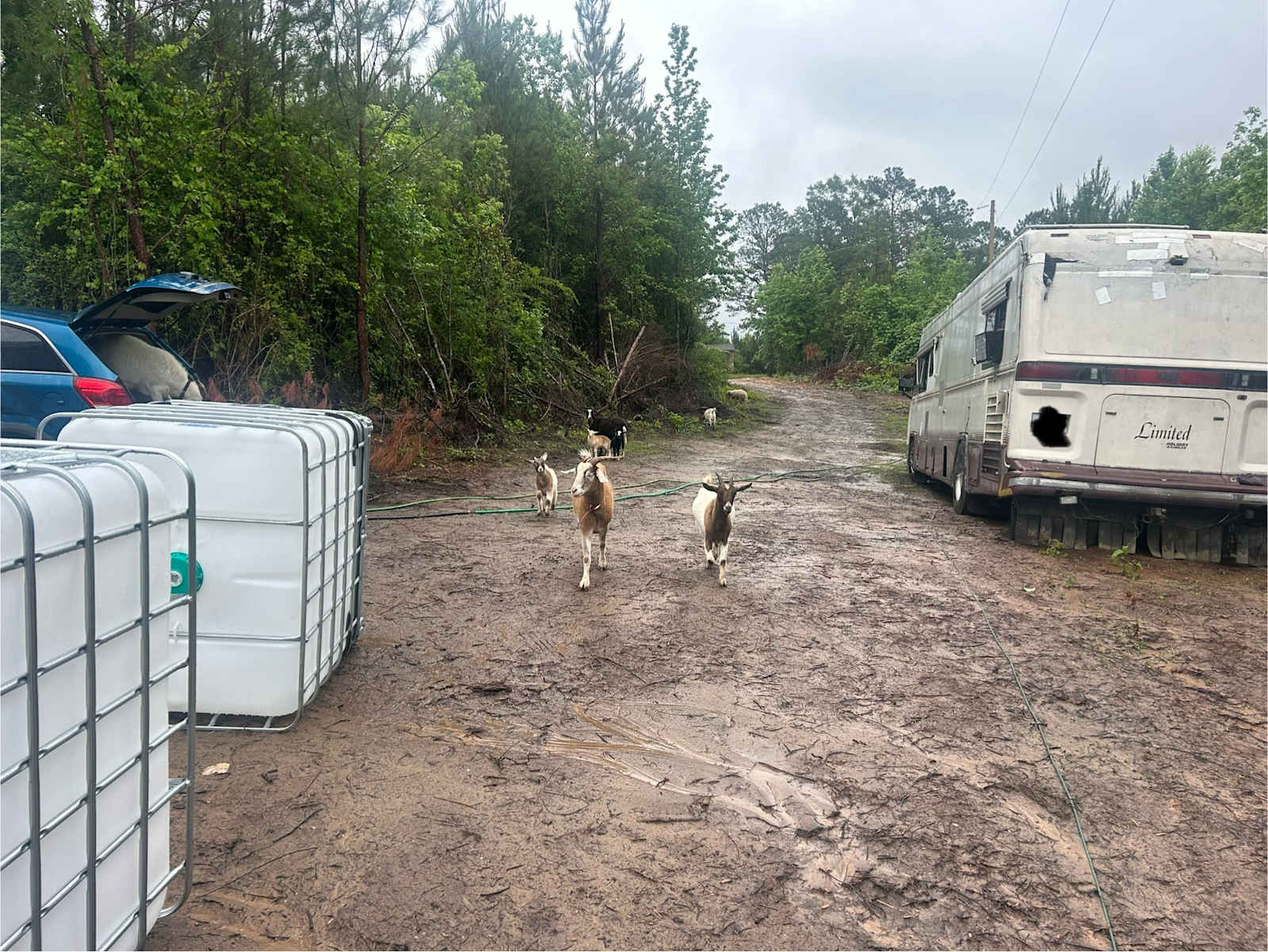 JAM Mission - Tuskegee, Alabama - glamping.directory