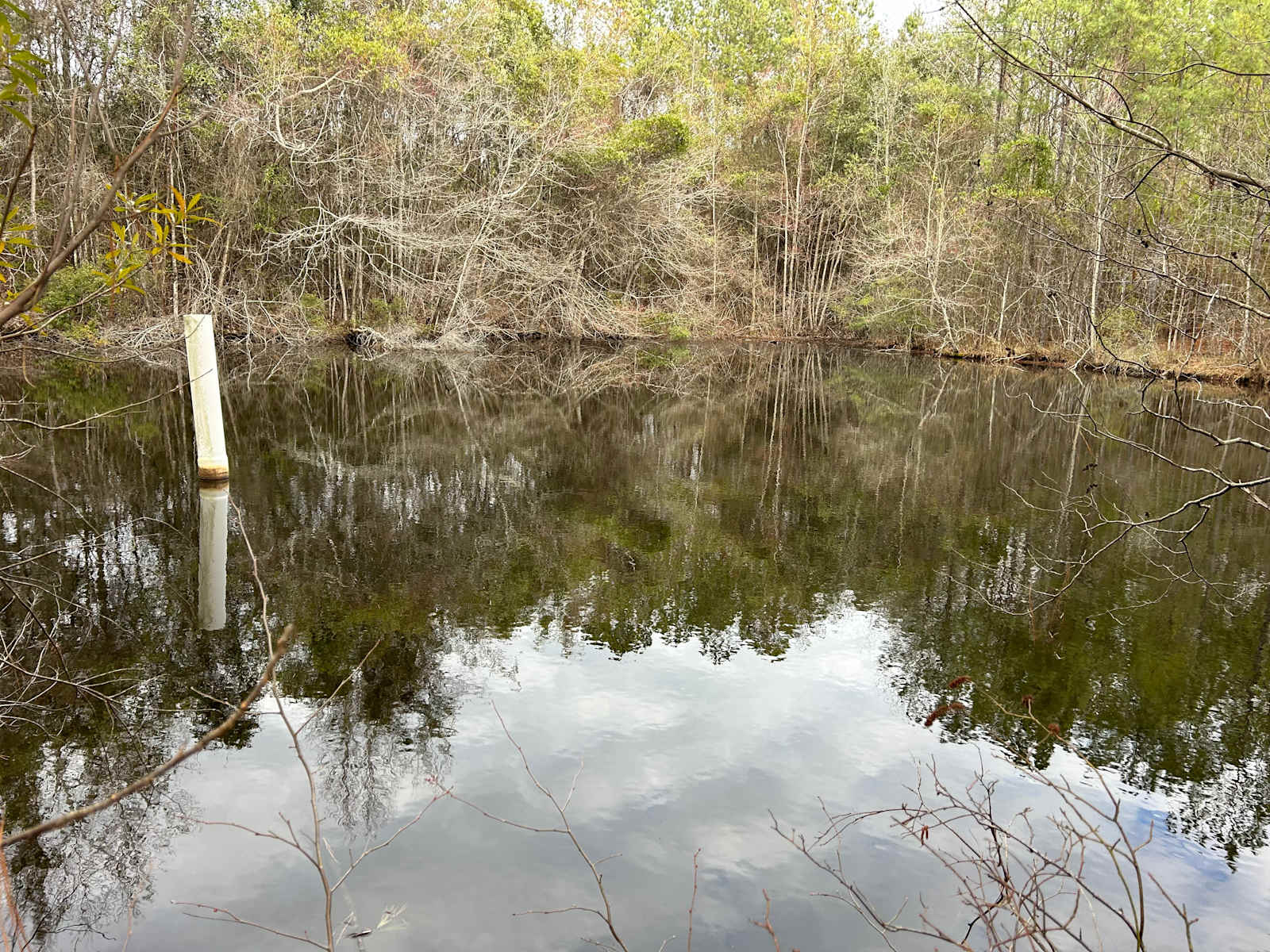 JAM Mission - Tuskegee, Alabama - glamping.directory