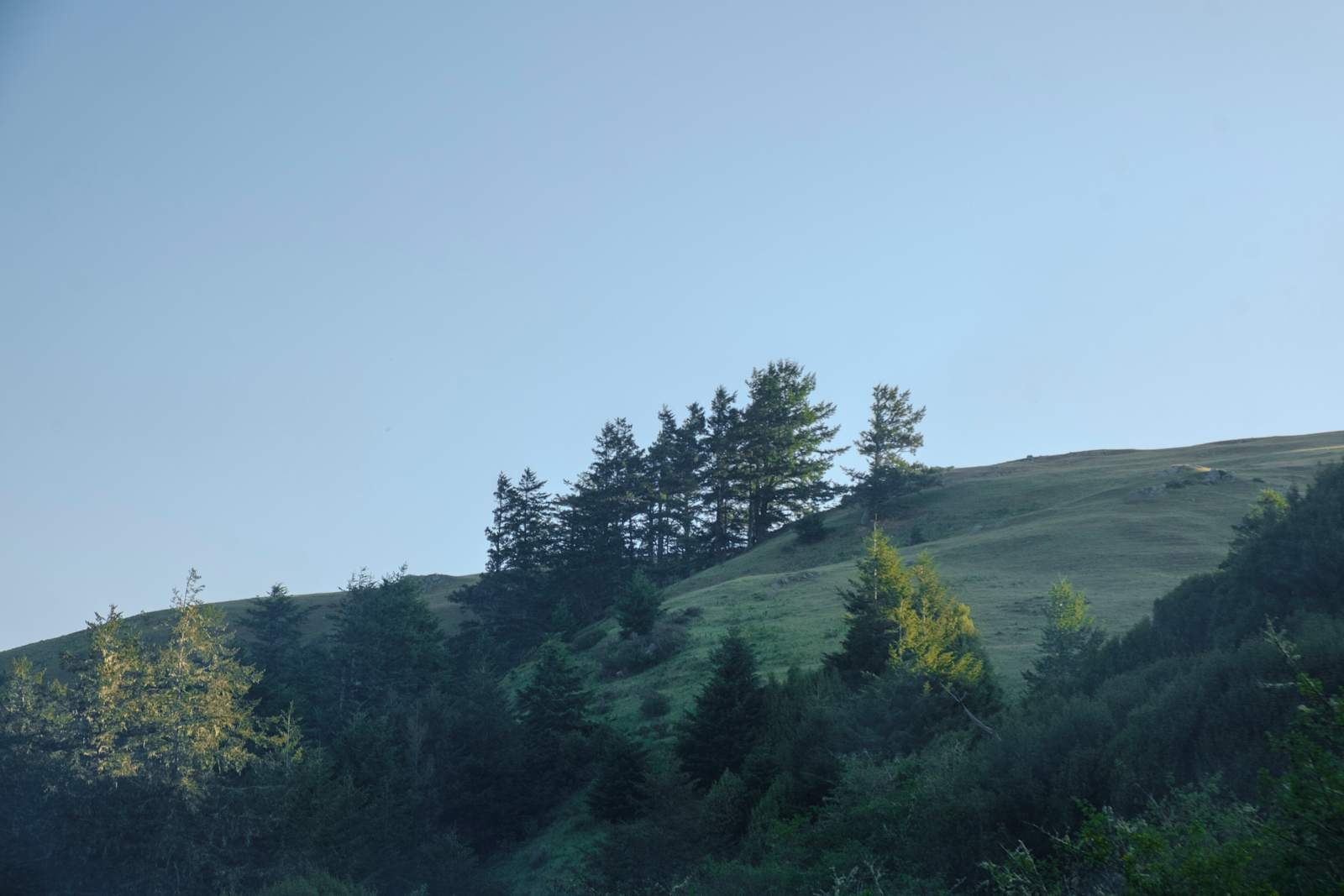 Finley Camp - Bodega Bay, California - glamping.directory