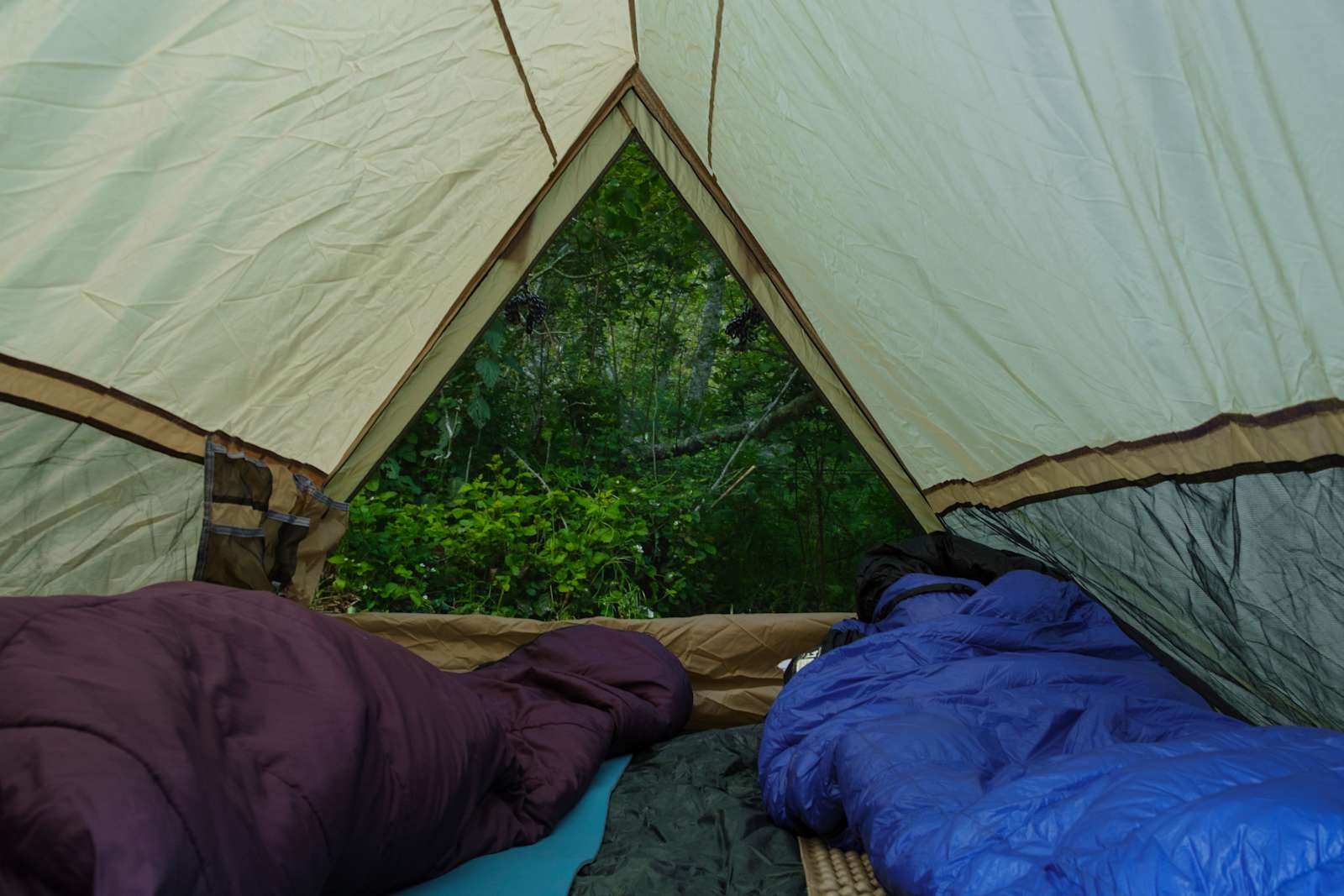 Finley Camp - Bodega Bay, California - glamping.directory