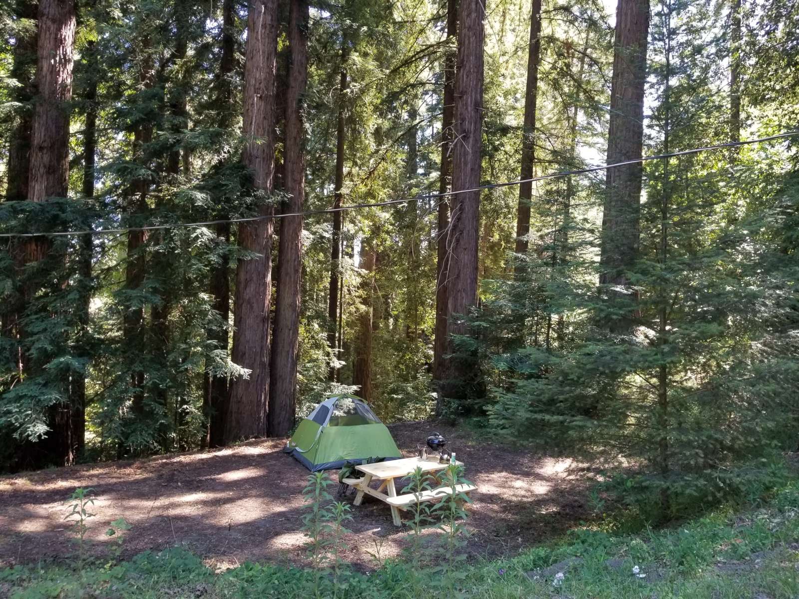 Amaya Creek Redwood Campground - Los Gatos, California - glamping.directory
