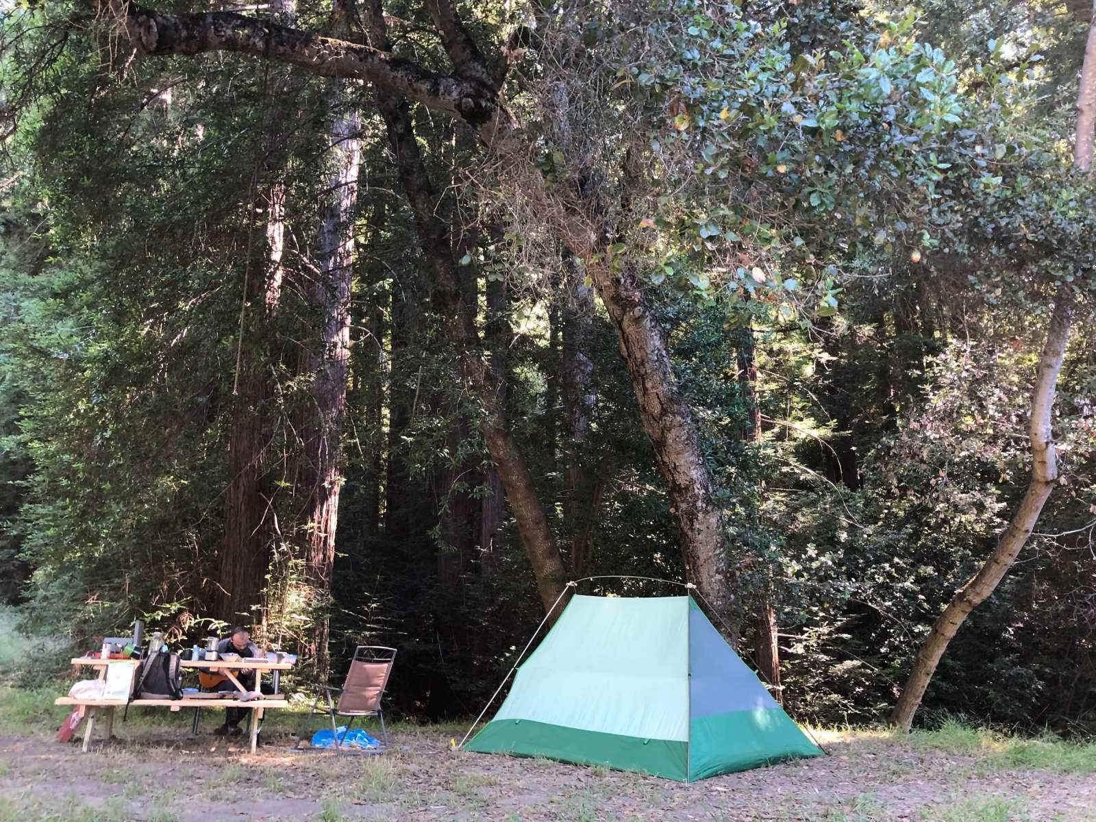 Amaya Creek Redwood Campground - glamping.directory