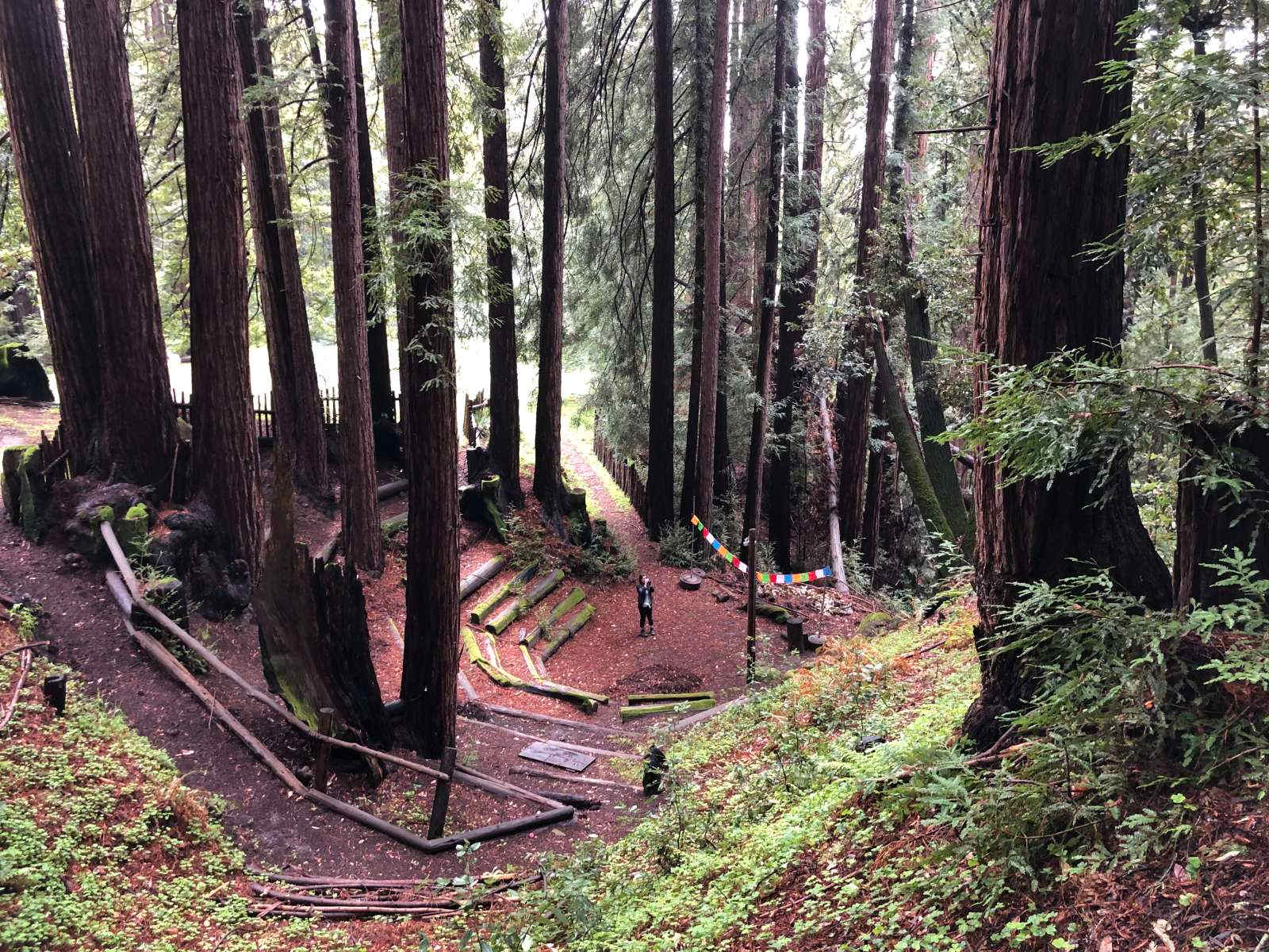 Amaya Creek Redwood Campground - Los Gatos, California - glamping.directory