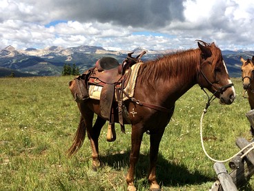 Charming Alpine Log Cabin for Family Vacation near Cora, Wyoming - Cora, Wyoming - glamping.directory