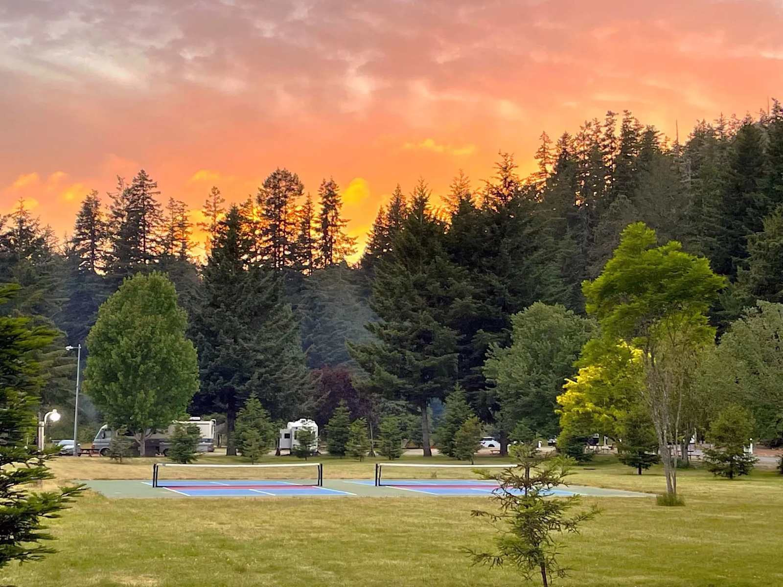 Redwood Meadows RV Resort - Crescent City, California - glamping.directory