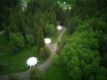 Roomy Family Bell Tent in Island Park, Idaho and near Harriman State Park - Island Park, Idaho - glamping.directory