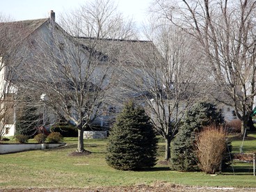Charming Vacation Rental on a Farm in Amish Country, Pennsylvania - Narvon, Pennsylvania - glamping.directory