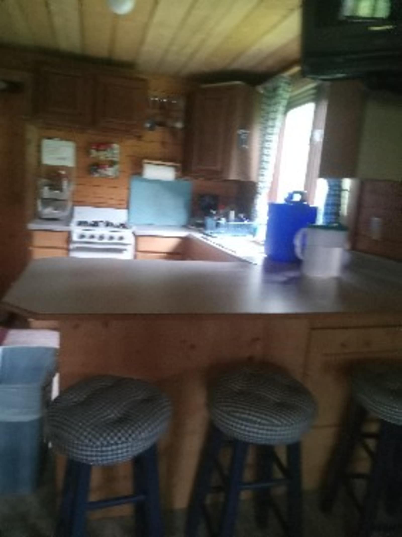 Chase The Adventure Cabin - Chase, Alaska - glamping.directory