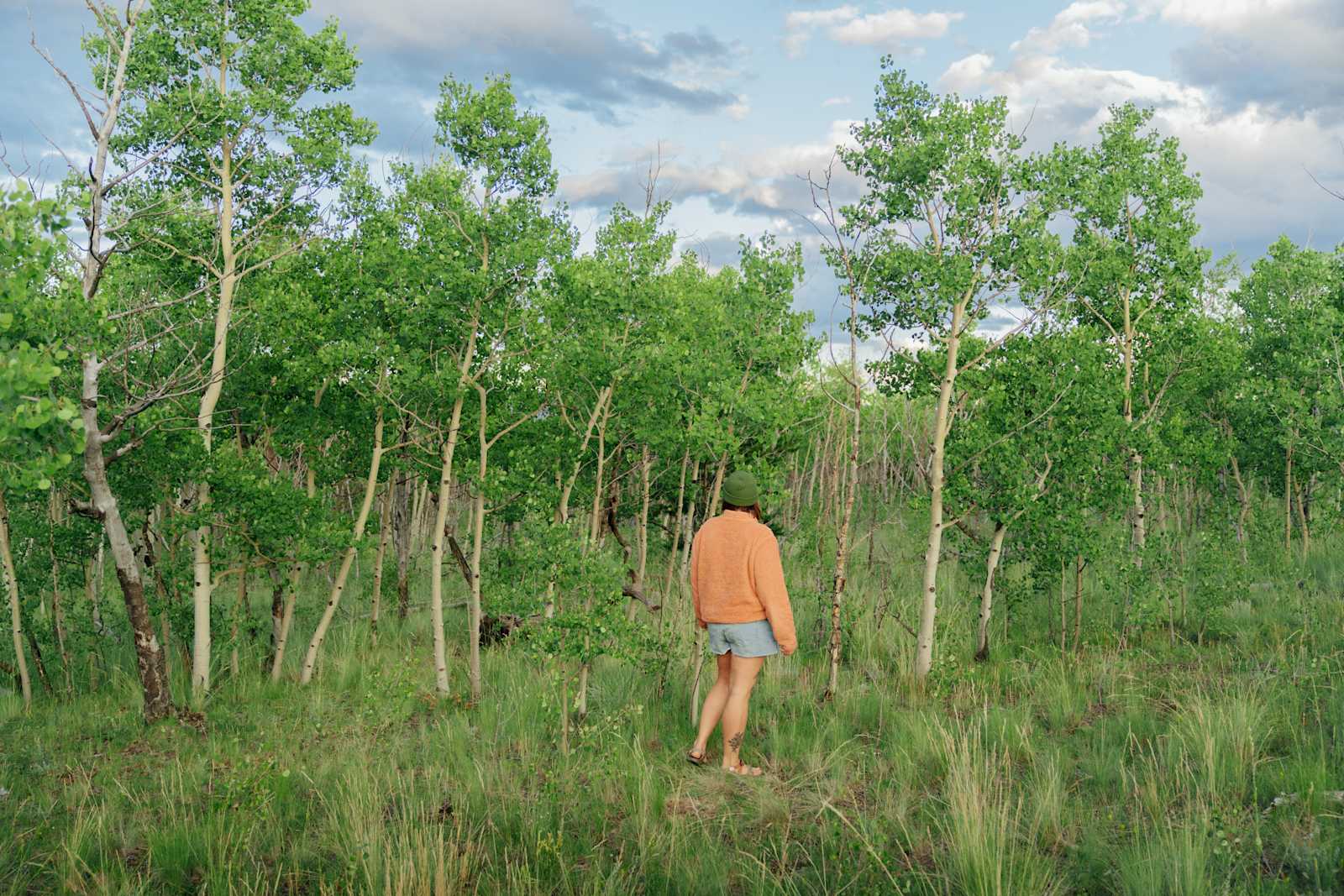 Gypsy Mountain Camping - Como, Colorado - glamping.directory