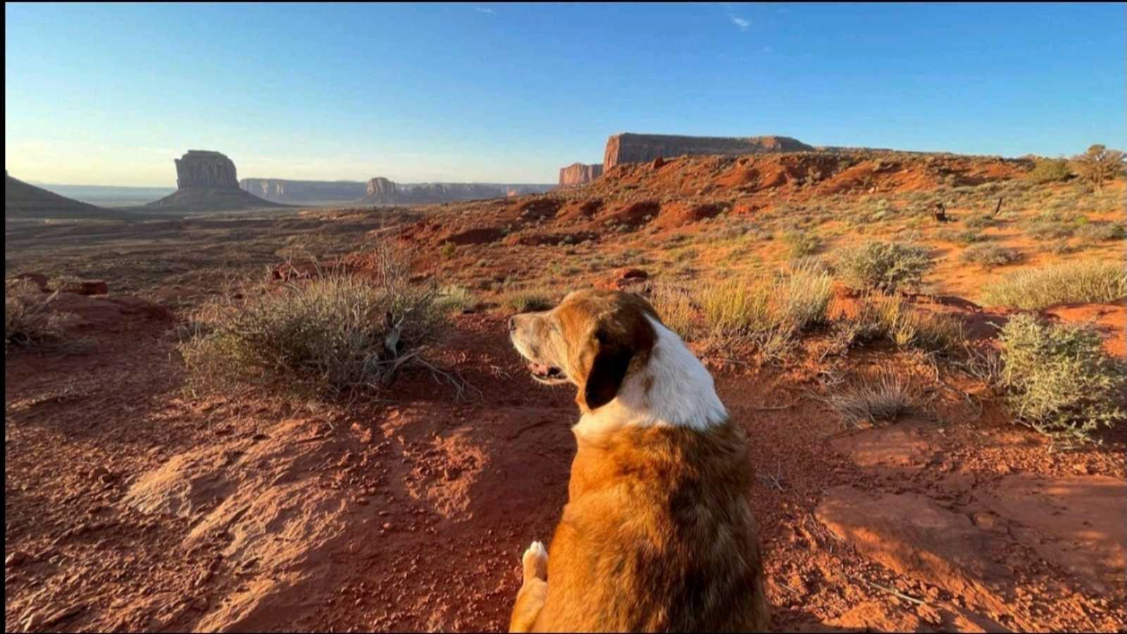 Sunrise camping - Oljato Monument Valley, Arizona - glamping.directory